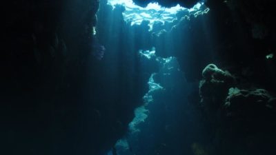 Sekretny język oceanu. Co słychać w głębinach?
