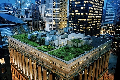 20 000 roślin na dachu ratusza – w Chicago pozazdrościli Babilończykom